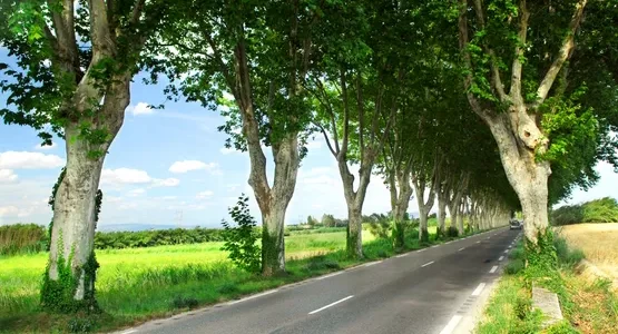 taxi-disponible-a-montereau-et-seine-et-marne